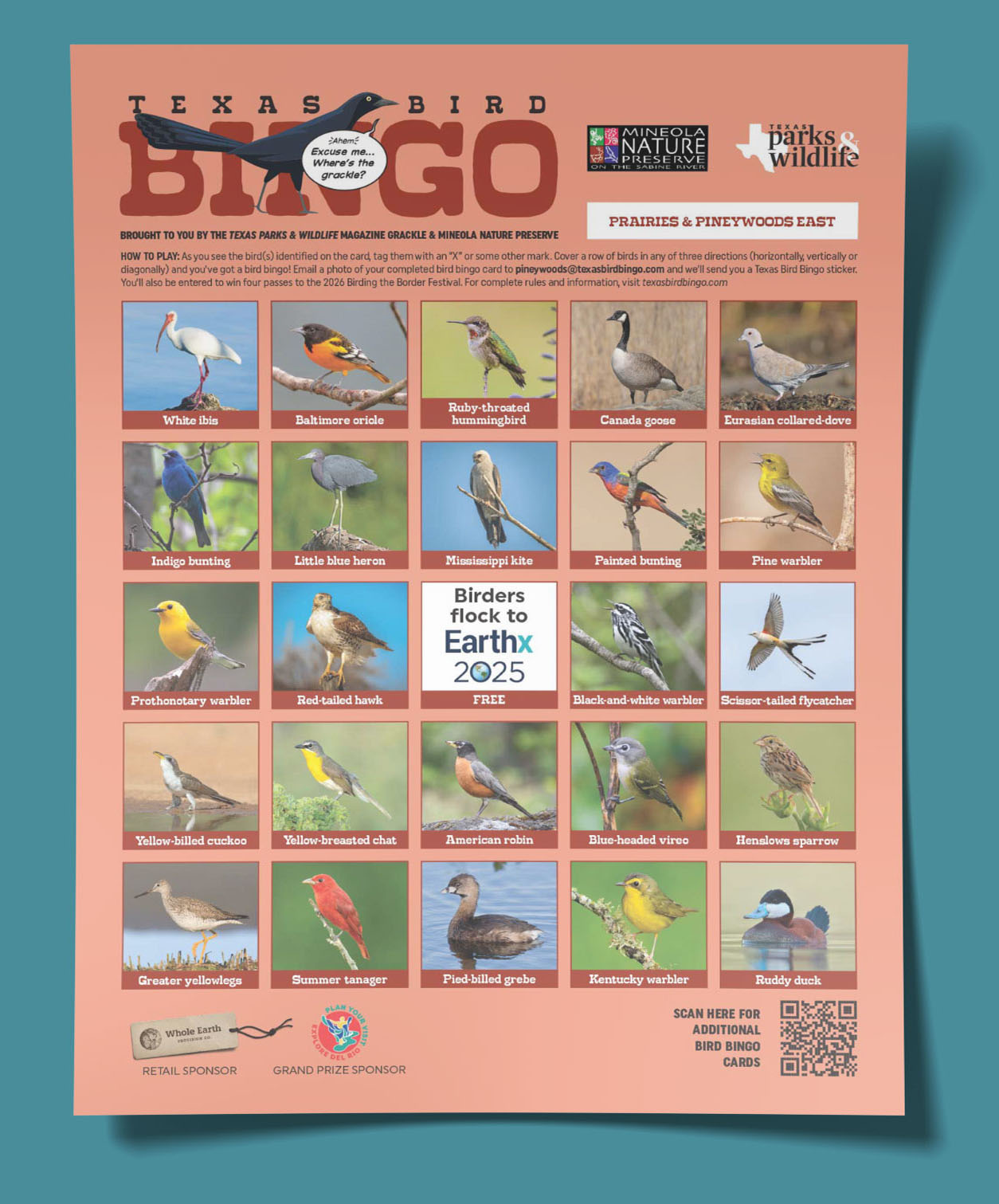 Bird Bingo South Plains